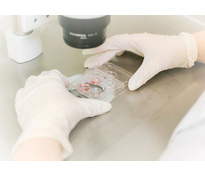 Донорские программы ЭКО