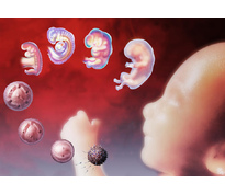 Естественное зачатие ребенка