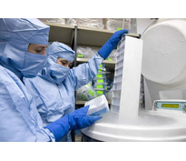 Криоконсервация